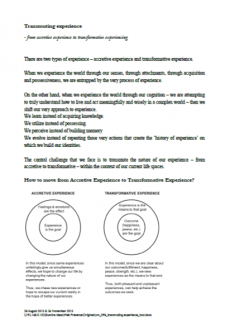 Transmuting experience  <small>– from accretive experience to transformative experiencing</small>