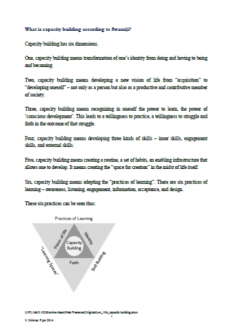 What is capacity building according to Swamiji?